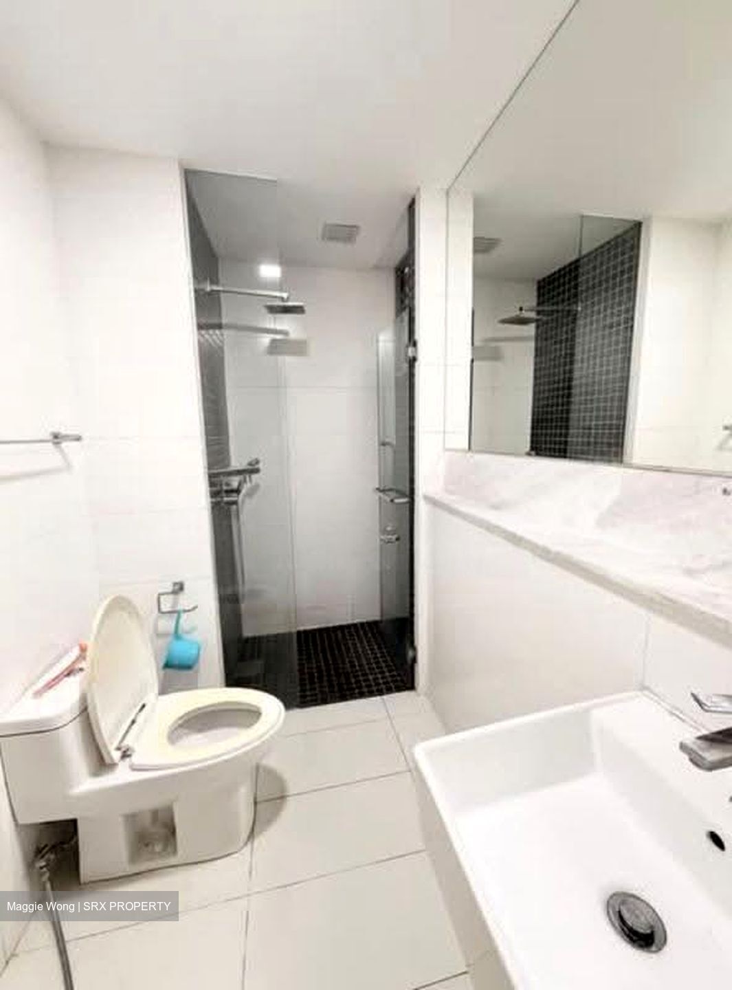 Ferraria Park Condominium (D17), Condominium #628862841